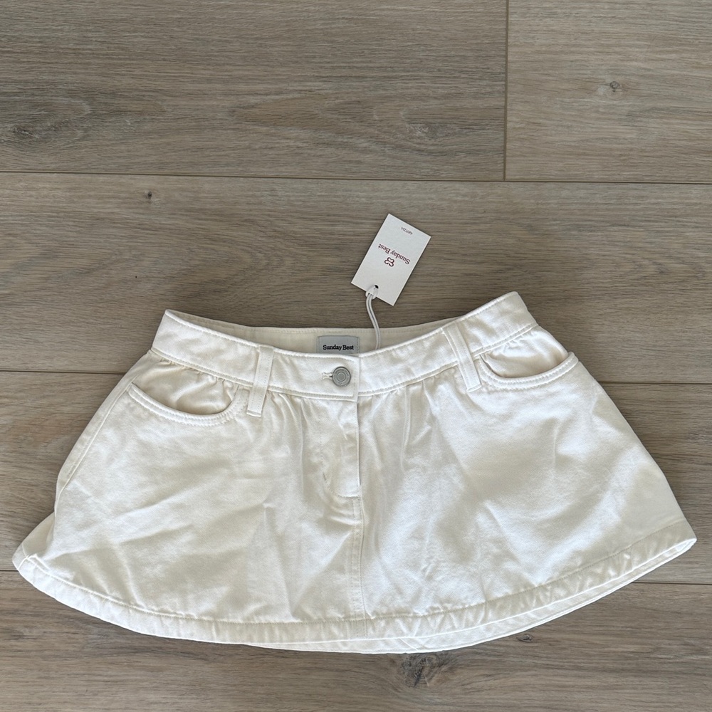 Aritzia Mini Skirt
